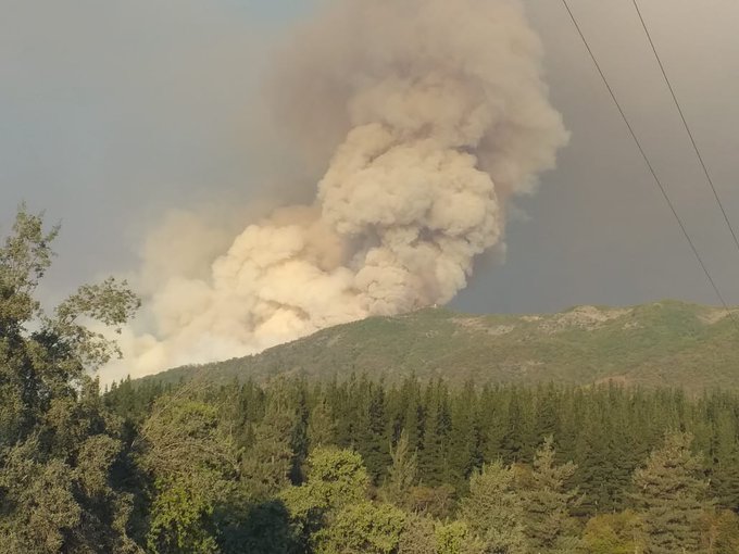De los 56 incendios forestales registrados a nivel nacional, 11 se encuentran activos
