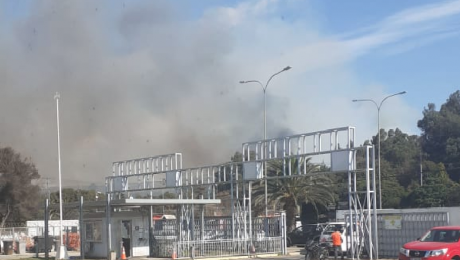 Bomberos y Conaf controlaron incendio que afectó a terrenos del campo deportivo de ENAP en Concón