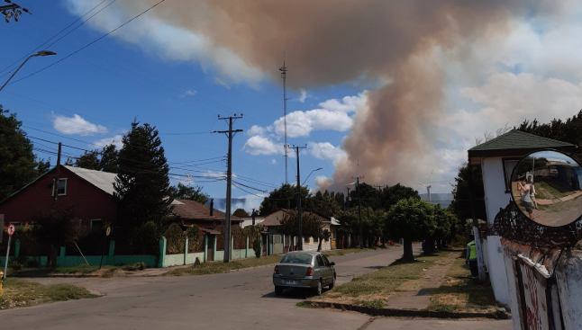 Declaran Alerta Roja para la comuna de Renaico por incendio forestal cercano a sectores habitados