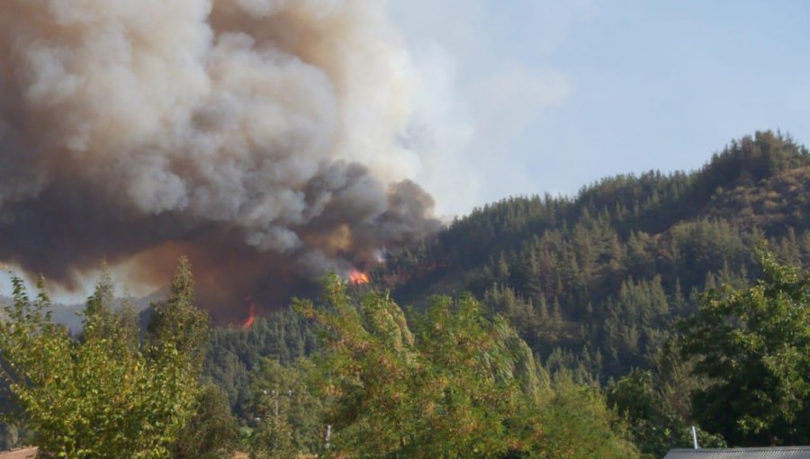 Evacúan localidad de Callejón Ortúzar en Romeral por incendio que ha consumido 1.400 hectáreas