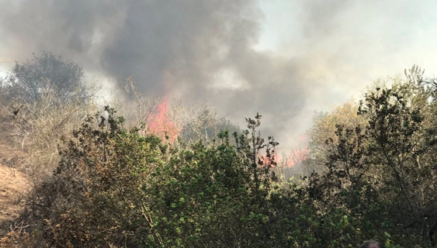 Incendio forestal declarado afecta por segundo día consecutivo a dependencias de ENAP en Concón