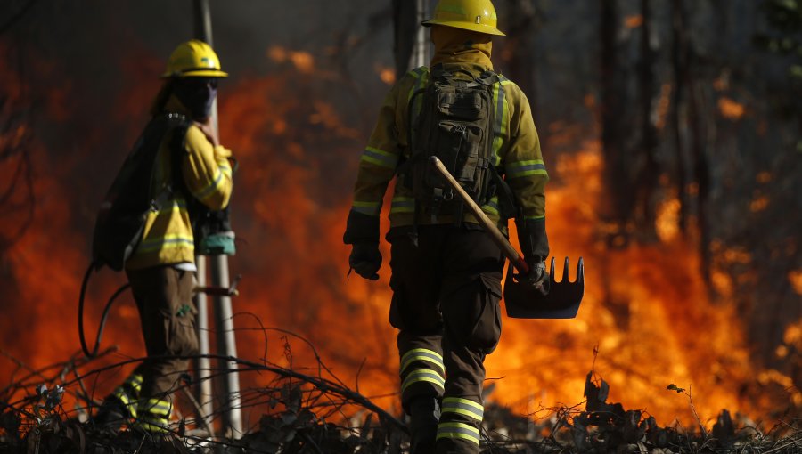 8 incendios forestales y 2 alertas rojas se mantienen activos a nivel nacional