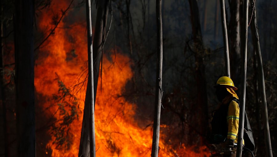 Ministerio de Agricultura destaca baja del 14% en hectáreas quemadas por incendios forestales