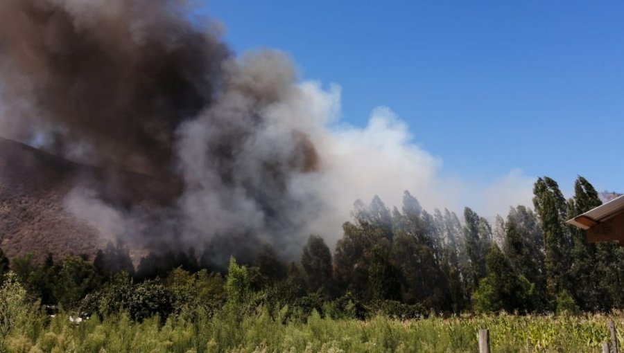 Declaran Alerta Roja para la comuna de San Vicente por incendio forestal