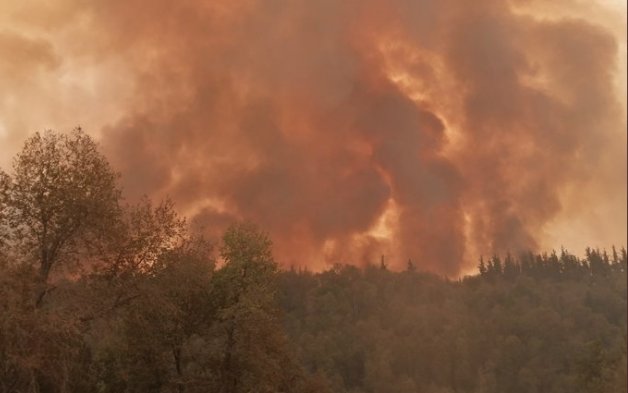Fiscalía investiga si existe intencionalidad en incendio que ha consumido 5 mil hectáreas en Molina
