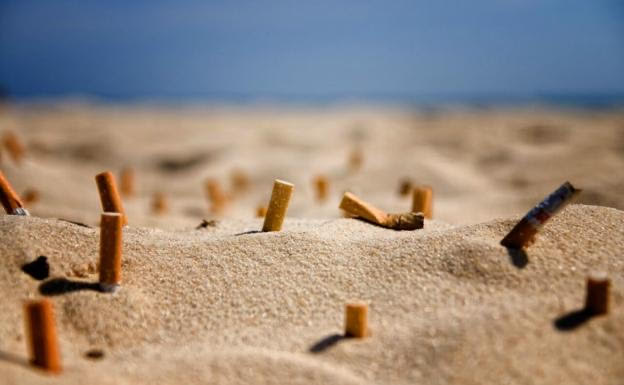 Lanzan campaña de reciclaje de colillas de cigarro para evitar contaminación en playas de Viña del Mar