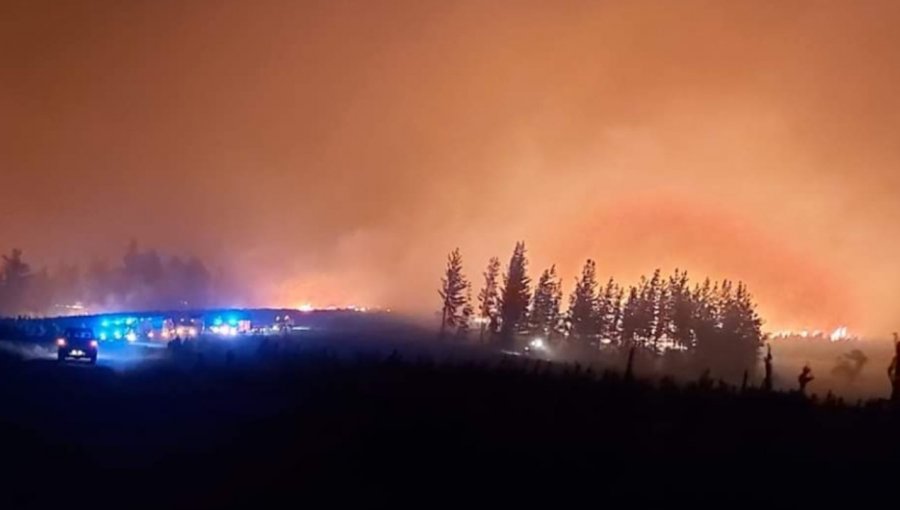 Declaran Alerta Roja para la comuna de Los Ángeles por incendio forestal que amenaza sectores poblados