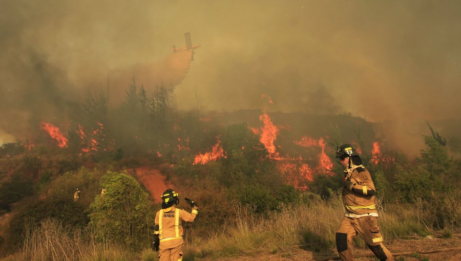 Alerta roja en Temuco por incendio que amenaza al Cerro Ñielol