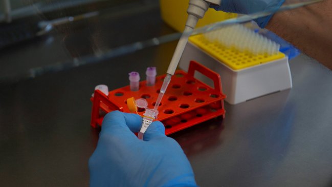 Ministerio de Salud anunció que Fonasa cubrirá examen que permite detectar presencia de coronavirus