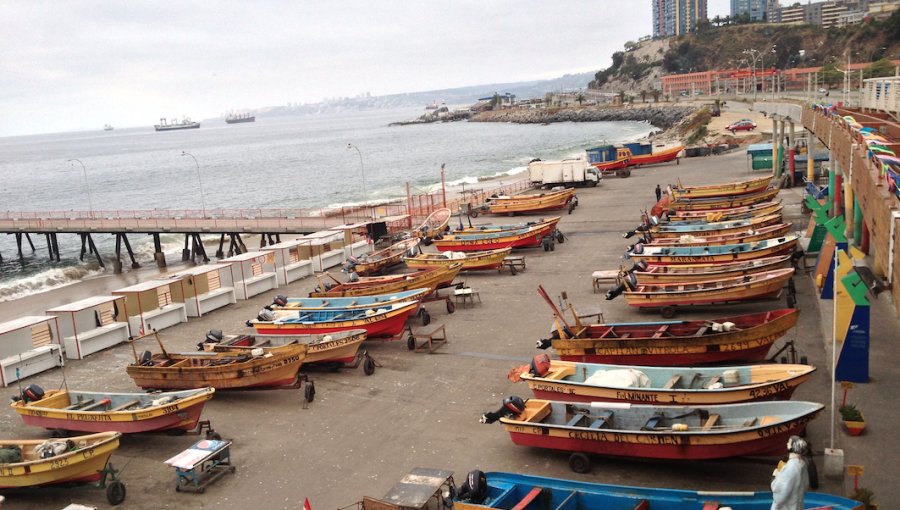 Pescadores deciden reabrir Caleta Portales debido a grave crisis económica que atraviesan