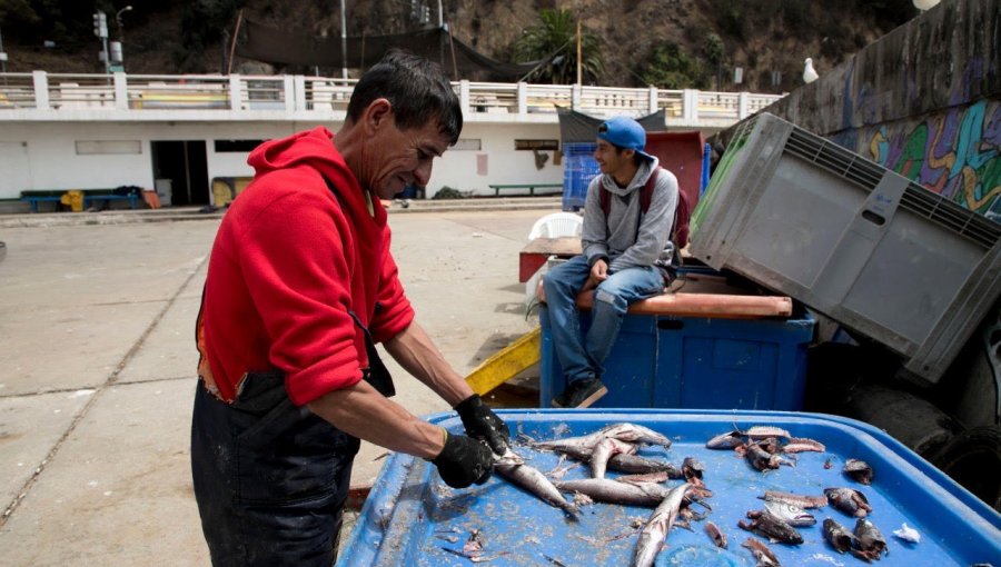 Pescadores de caleta El Membrillo han aumentado sus ventas con la modalidad delivery