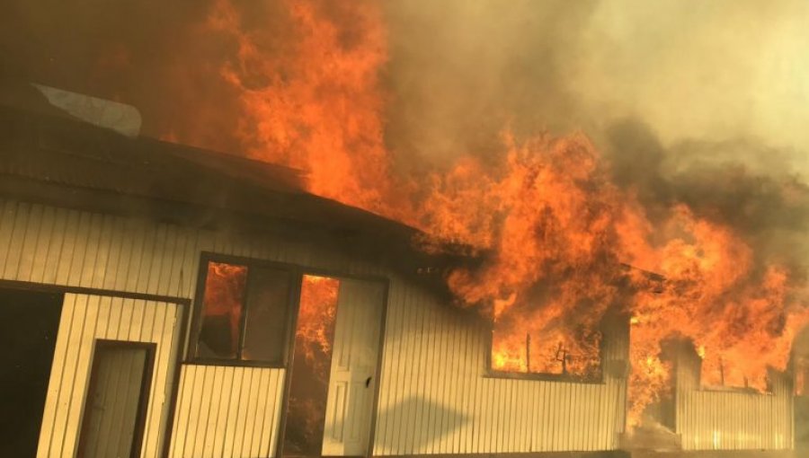 Al menos 15 viviendas han sido afectadas por incendio forestal en Arauco: decretan Alerta Roja