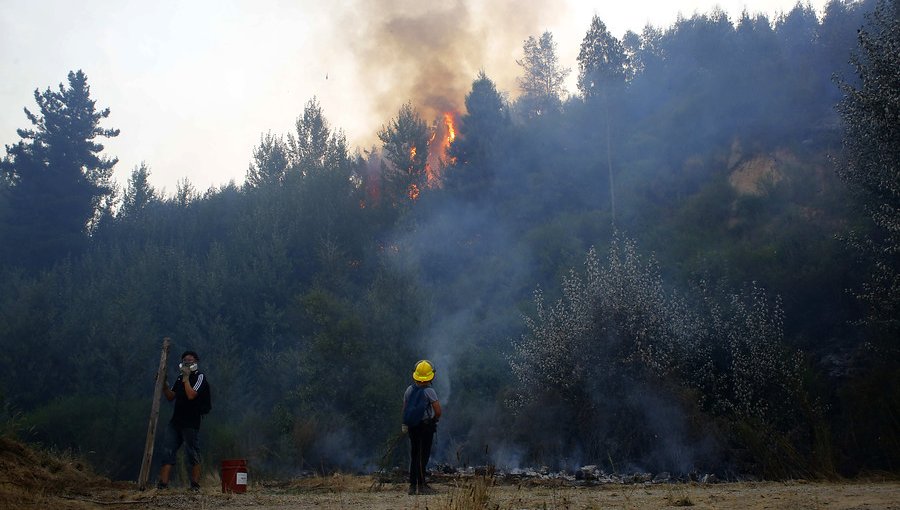 Decretan Alerta Roja para la comuna de Alto Biobío por incendio forestal cercano a Reserva Nacional Ralco