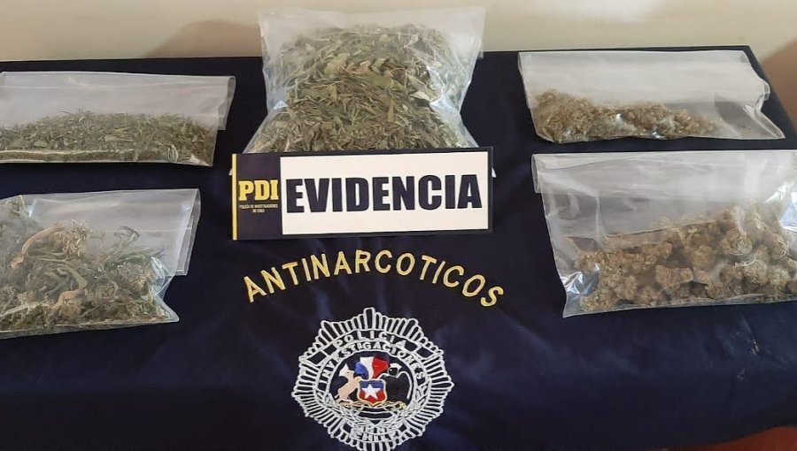 PDI incauta medio kilo de marihuana dosificada y lista para ser comercializada en Los Andes