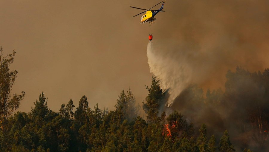 Declaran Alerta Roja para la comuna de Galvarino por incendio forestal cercano a sectores habitados