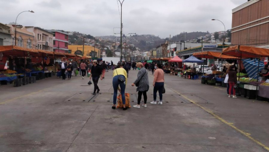 Tradicional feria hortofrutícola de la Av. Argentina de Valparaíso tendrá nueva distribución