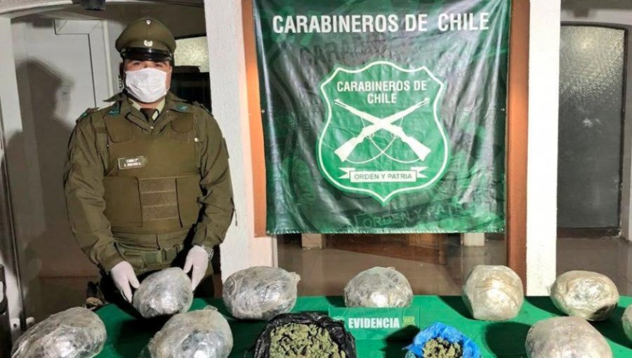 Carabineros decomisa más de 10 kilos de marihuana elaborada que se encontraba enterrada en San Felipe