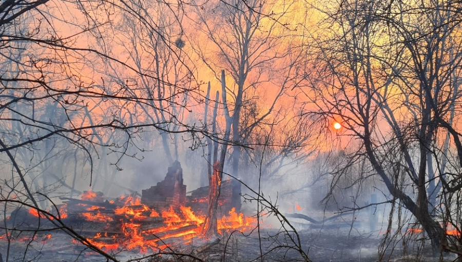 Logran controlar incendios forestales que amenazaban la planta nuclear de Chernóbil