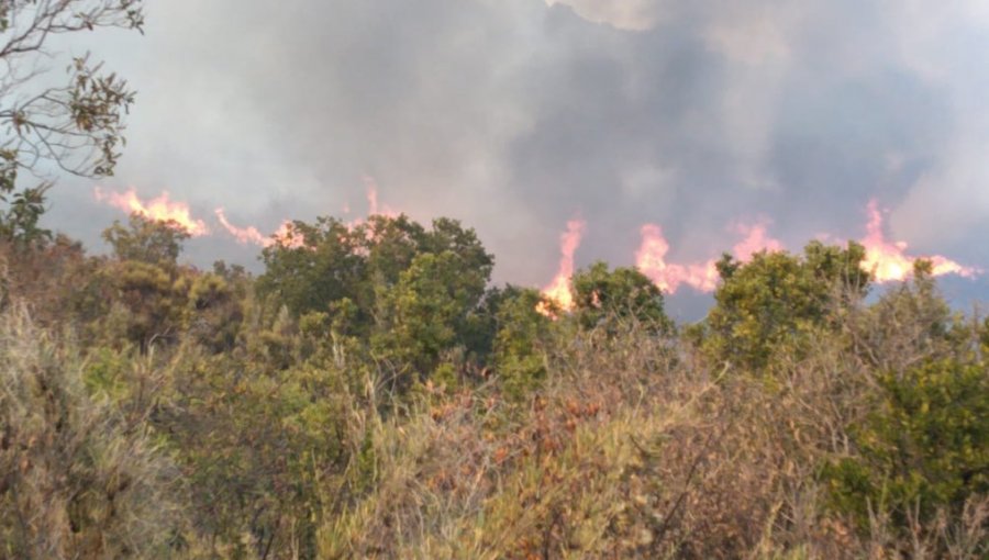 Controlan incendio forestal en Quilpué y cancelan la Alerta Roja Provincial