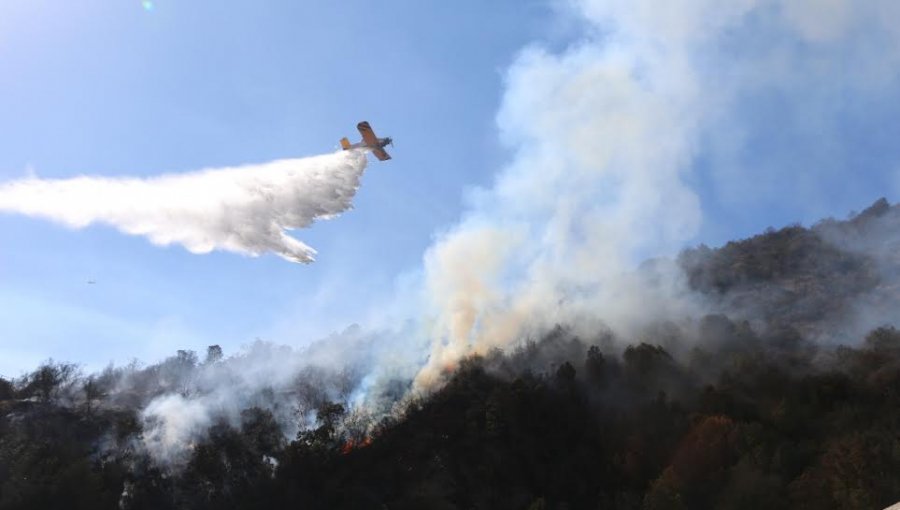 Zapallar: Incendio forestal que había sido controlado en El Melón registra fuerte reactivación