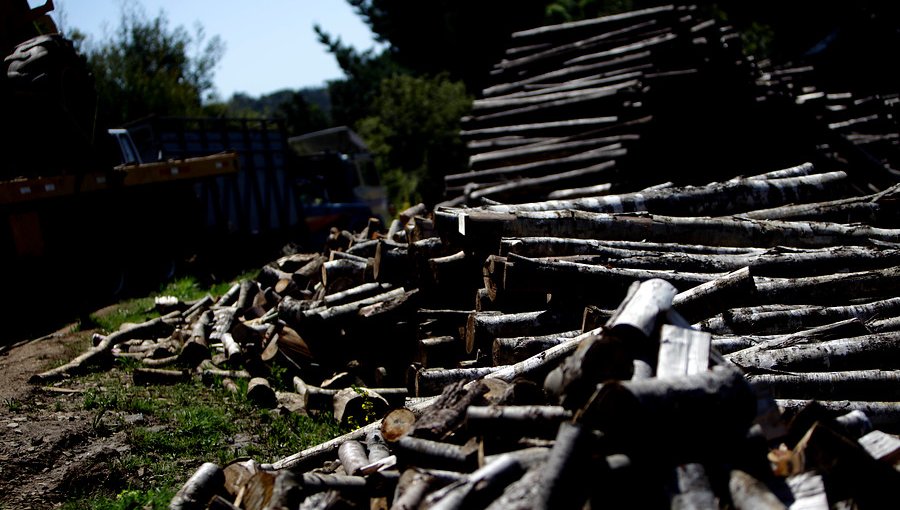 Comisión aprueba en general proyecto que fortalece la fiscalización por hurto de madera