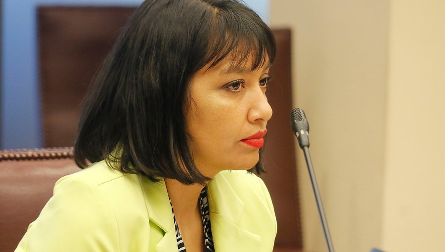 Diputada Castillo (RD) denunció que recibió una caja de mercadería del programa "Alimentos para Chile"