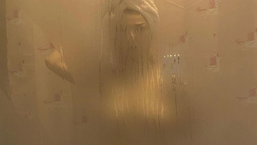 Loreto Aravena sacó aplausos con selfie al desnudo desde la ducha