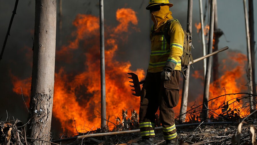 Intencionalidad de incendios forestales aumentó en regiones del Biobío, La Araucanía y Ñuble