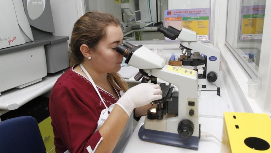 Nuevo laboratorio en Villa Alemana permitirá entregar resultados de PCR en 24 horas y recibirá muestras de Quilpué, Limache y Olmué