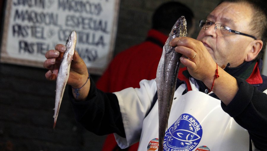 Comenzó la veda de la merluza austral: Desde Los Lagos hasta Magallanes