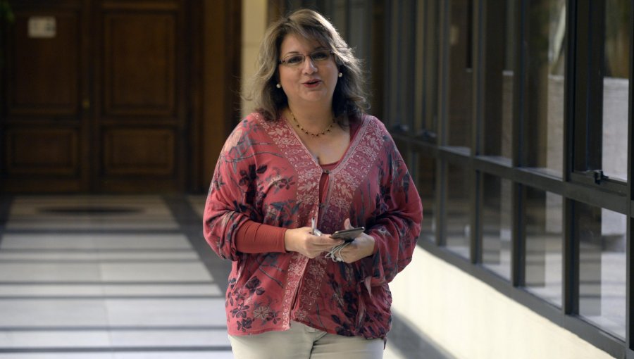 Diputada Andrea Parra presenta proyecto de ley de voto anticipado para el Plebiscito