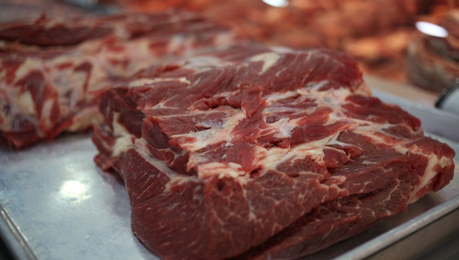 Exportaciones de carne bovina anotaron un incremento de 33% entre enero y agosto de 2020