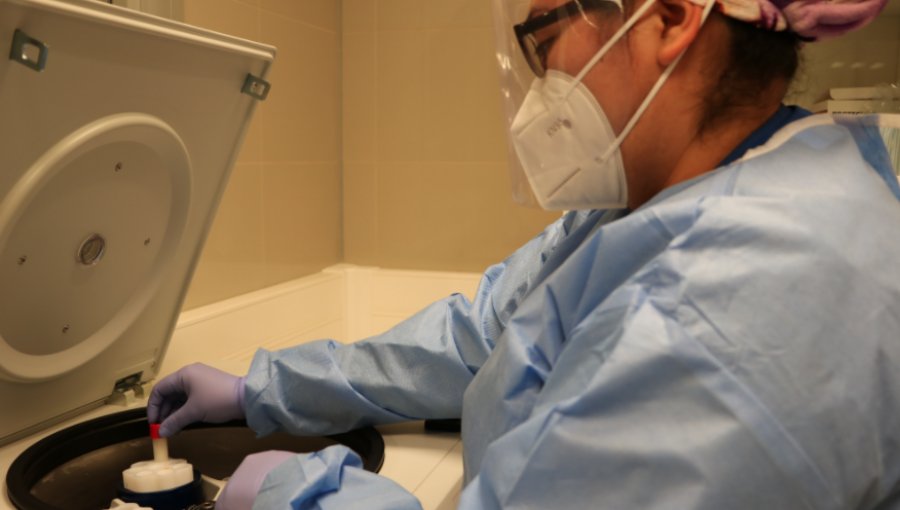 Más de 600 muestras diarias de PCR procesará el nuevo Laboratorio Biomolecular del Hospital Fricke de Viña del Mar