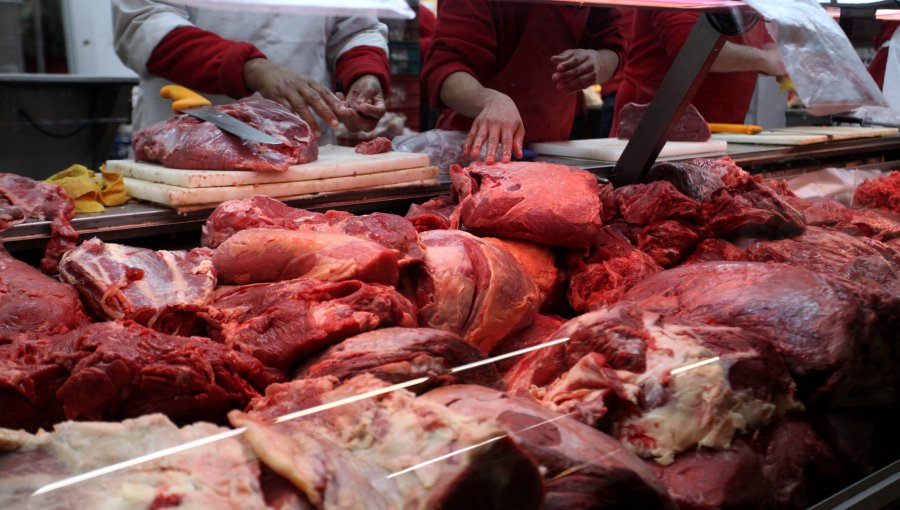 27 sumarios y 700 kilos de carne fueron decomisados durante Fiestas Patrias en la región de Coquimbo
