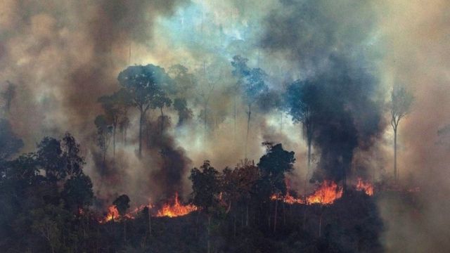 Incendios en la Amazonía disparan las emisiones de dióxido de carbono en Brasil