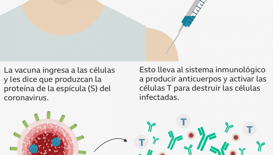 Pfizer y BioNTech anuncian eficacia de un 90% en su vacuna contra el Covid-19