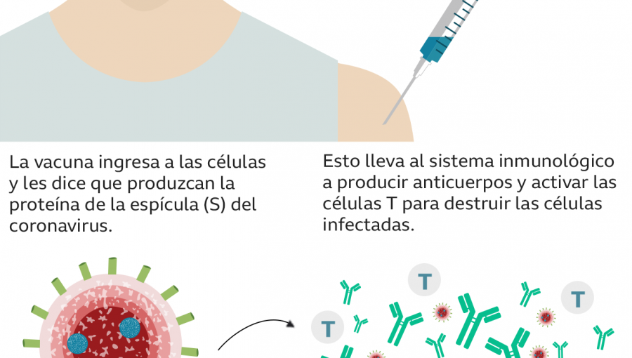 Vacunas contra el coronavirus: las fortalezas y debilidades de las nueve candidatas más adelantadas