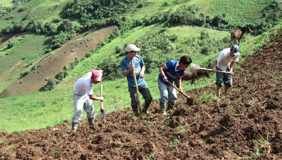Senadora Allende critica reavalúo de bienes raíces a pequeños agricultores: "Los hace no ser considerados como beneficiarios Indap"
