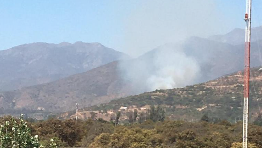 Incendio forestal se registra en sector San Isidro de Quillota: Conaf y Bomberos combaten las llamas
