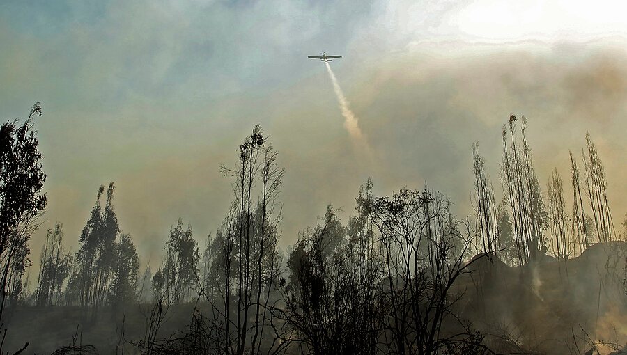 Extienden la Alerta Temprana Preventiva para la región de Valparaíso por amenaza de incendio forestal