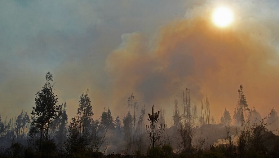 19 incendios forestales se encuentran activos a nivel nacional: La mayoría afecta a la zona sur