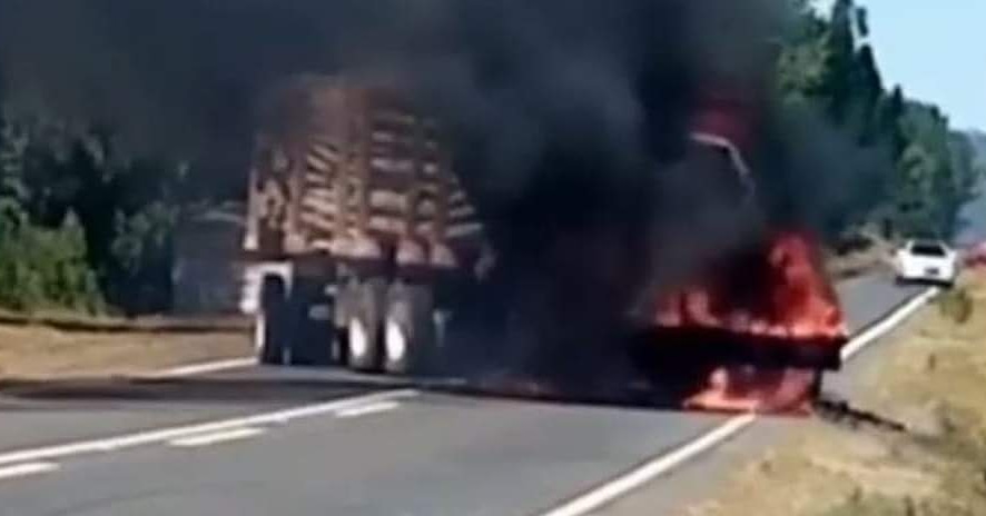 Ataque incendiario dejó un camión de transporte forestal destruido en ruta de Tirúa