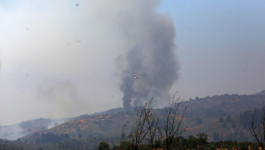 Cancelan la Alerta Roja para la comuna de Ercilla por incendio forestal