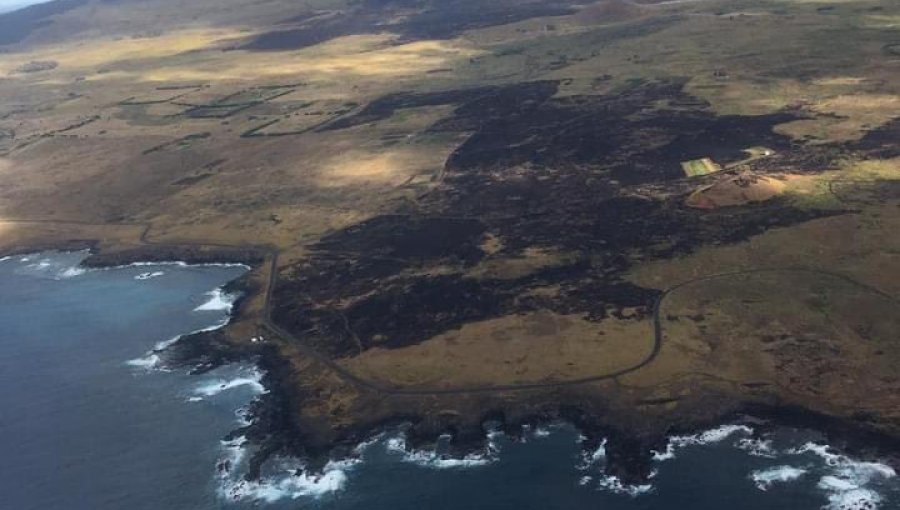Más de 600 hectáreas han sido consumidas por incendio en Rapa Nui: siniestro amenaza zonas arqueológicas