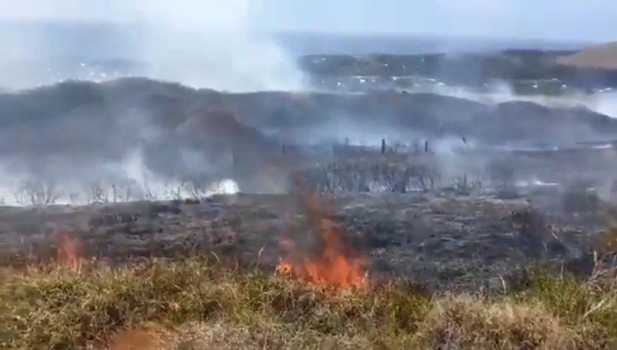 Detienen a hombre por su presunta participación en incendio de Rapa Nui: quedó con arraigo insular