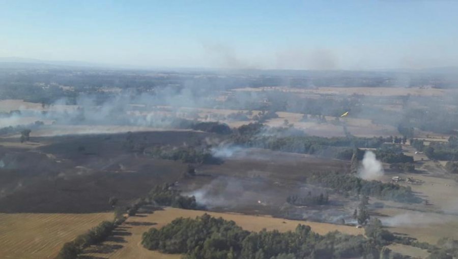 Declaran Alerta Roja para la comuna de Nueva Imperial por incendio forestal cercano a sectores habitados