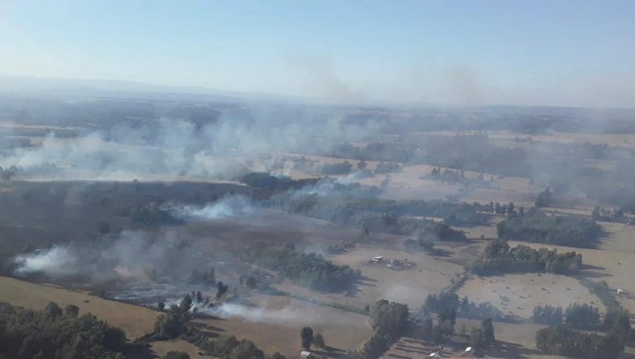 Declaran Alerta Roja para la comuna de Nueva Imperial por incendio forestal cercano a sectores habitados