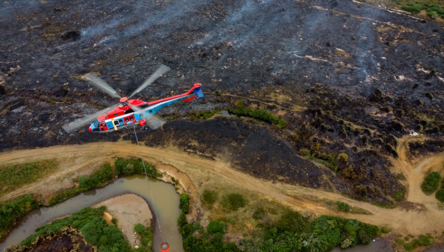 Cancelan la Alerta Amarilla para las comunas de Puerto Montt y Puerto Varas por incendios forestales