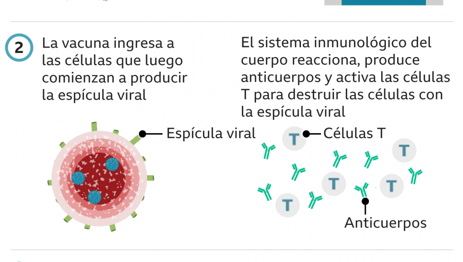 Qué se sabe del raro trastorno de coagulación que podría explicar los trombos causados por la vacuna AstraZeneca
