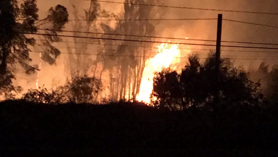 Incendio forestal de gran magnitud amenaza viviendas en sector de Llay Llay